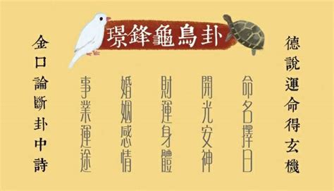 龜鳥卦破解|【龜鳥卦破解】龜鳥卦破解：揭露算命背後鮮為人知的黑暗。